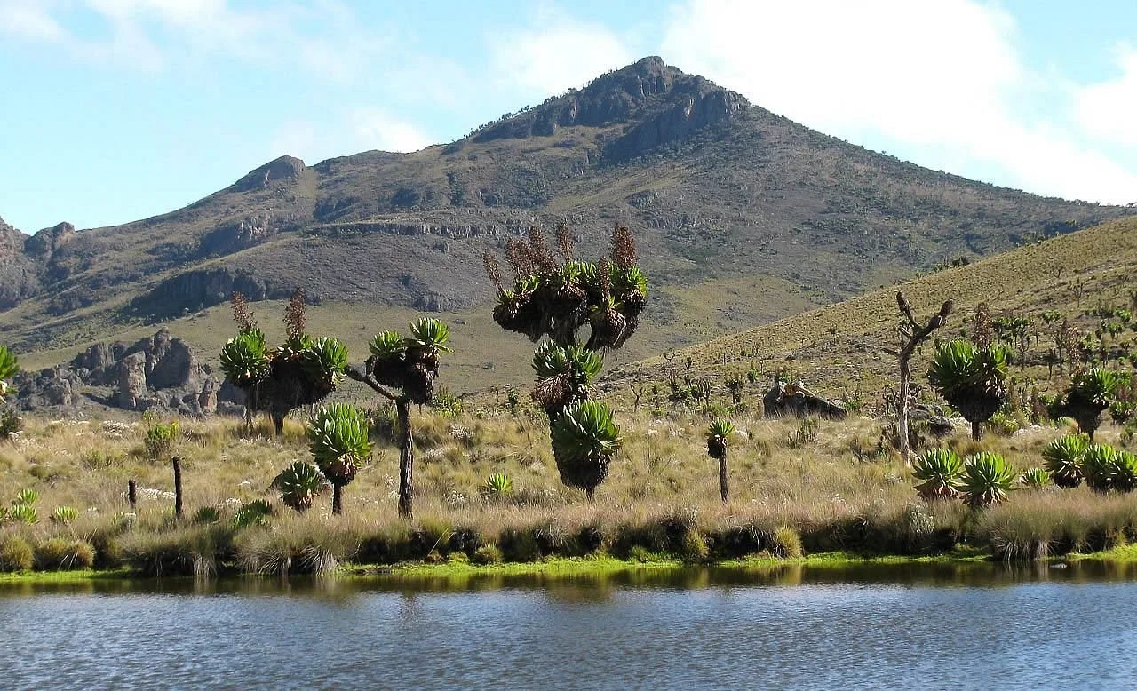 Mount-Elgon